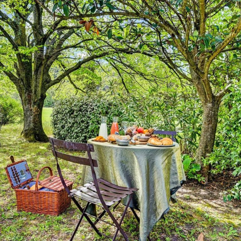 Hôtel et SPA des sources du gros noyer - Deluxe Doppel-/Zweibettzimmer mit Gartenblick - 10