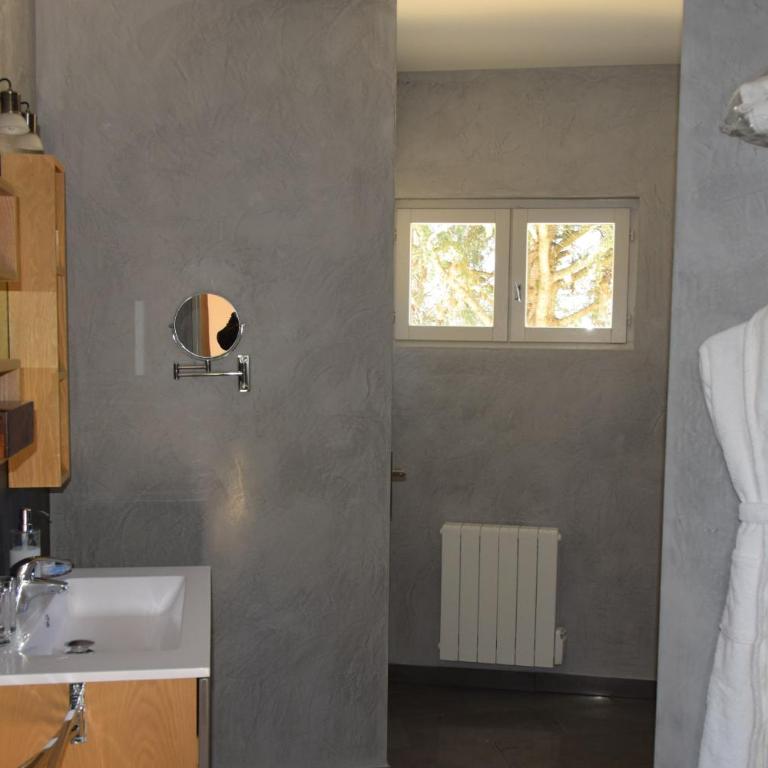 Hôtel et SPA des sources du gros noyer - Deluxe Doppel-/Zweibettzimmer - 4