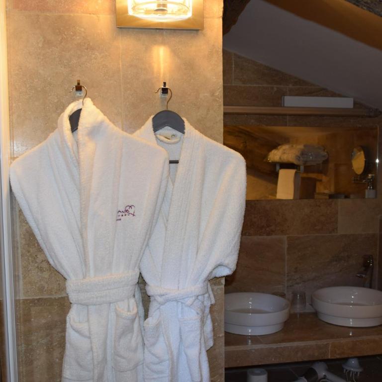 Hôtel et SPA des sources du gros noyer - Deluxe Doppel-/Zweibettzimmer - 10