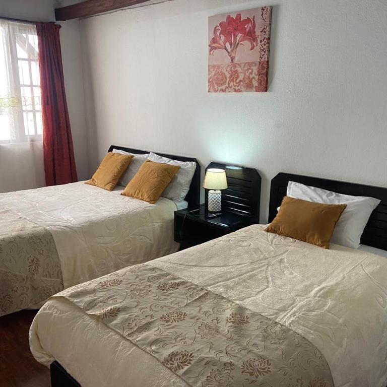 Quinta Hotel Las Buganvillas - Standard Twin Room - 1