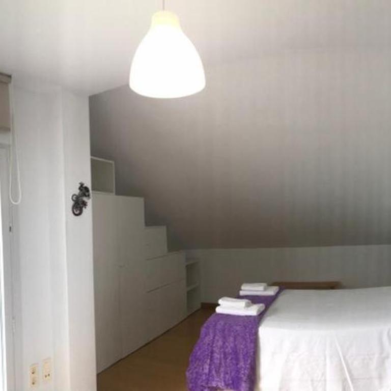 Apt.Golondrosu, coqueto apartamento en Cangas de Onis - Apartamento de 1 dormitorio - 3