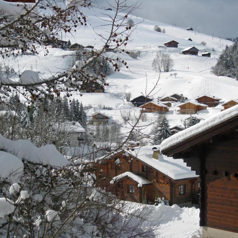 Chalet Sophia - Chalet - 4