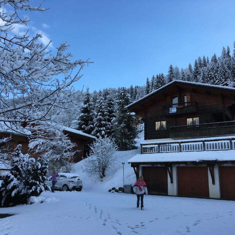 Chalet Sophia - Chalet - 17