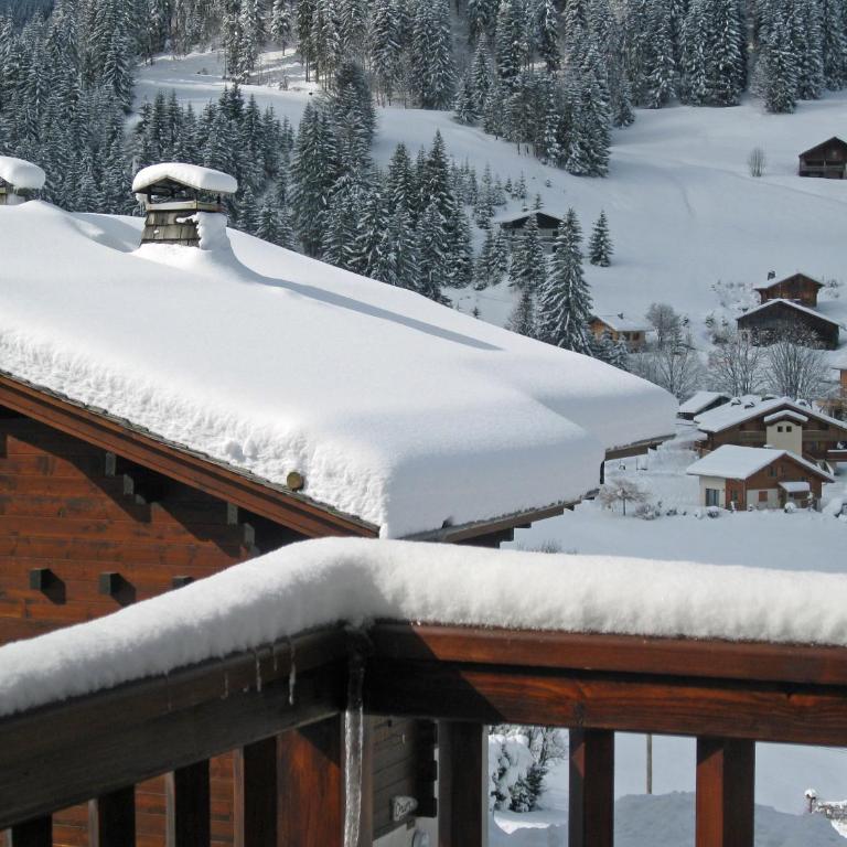 Chalet Sophia - Chalet - 18