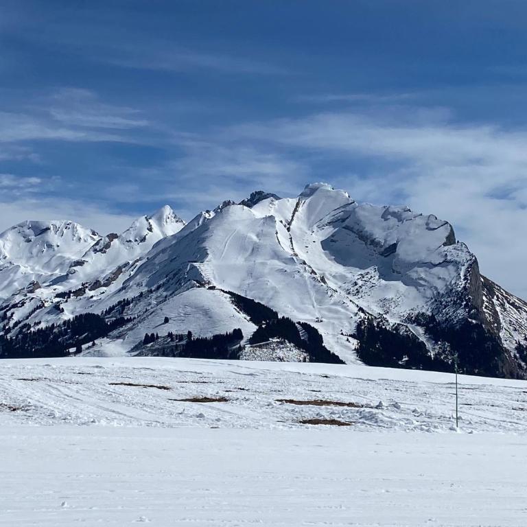 Chalet Sophia - Chalet - 25