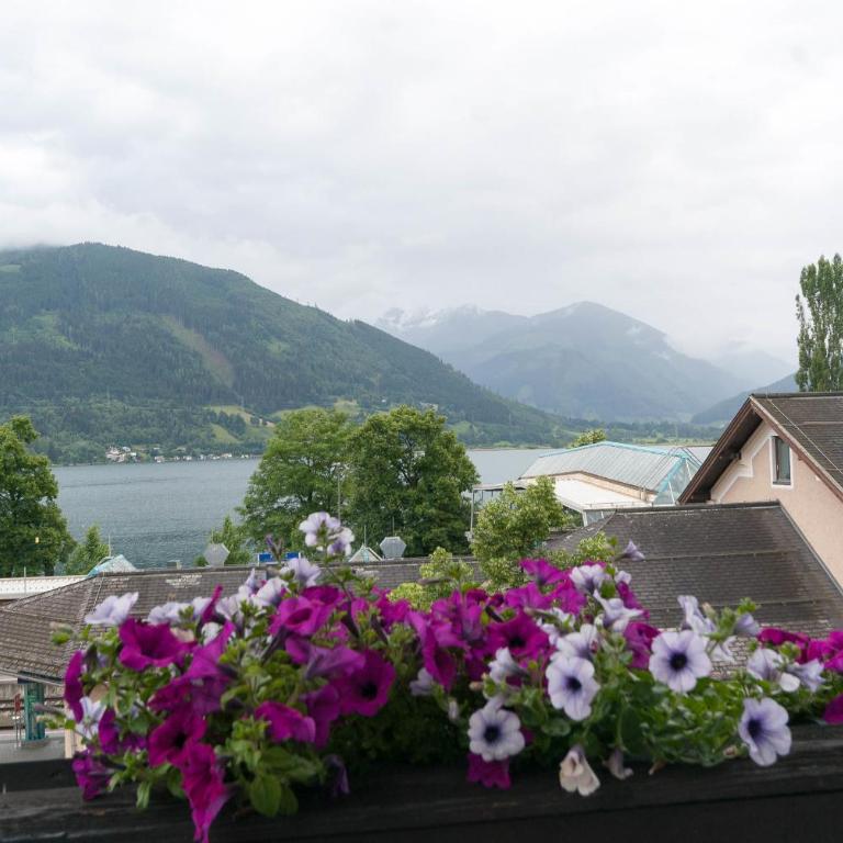 Appartments Zell am See - Apartment mit Balkon - 24
