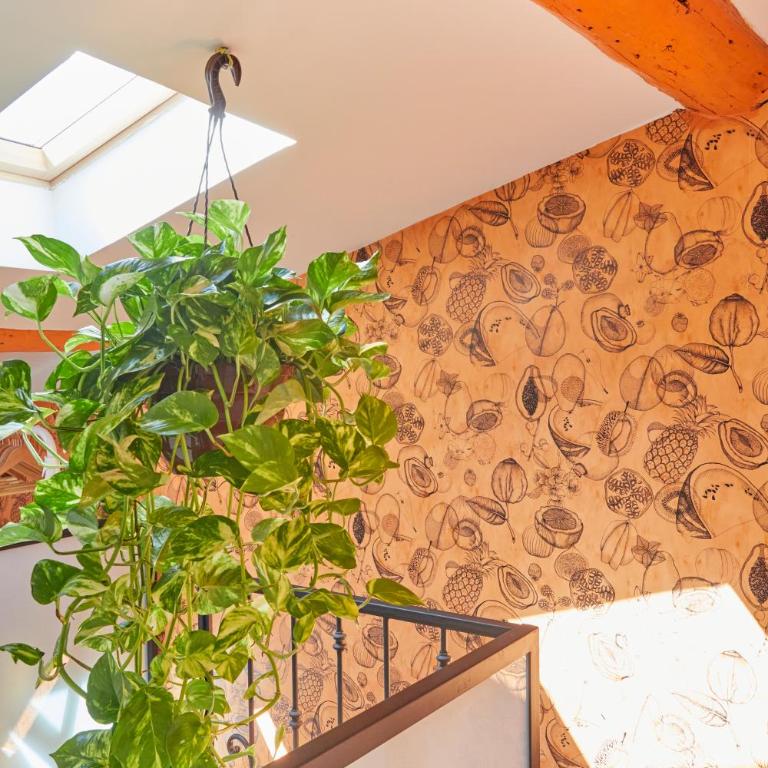 Historic Beziers flat with A C next to les Halles - Apartment - 8