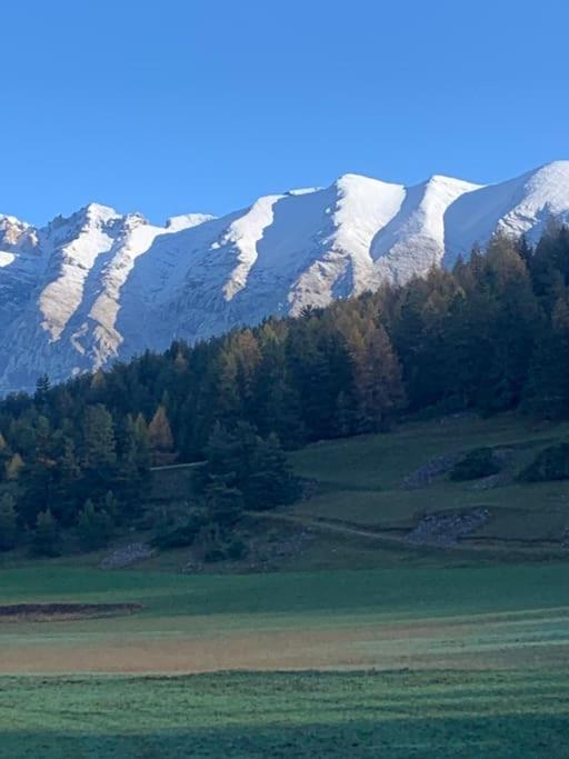 La joue du loup Bord des pistes - Chalet en bois de charme pour 10 personnes - Chalet - 34