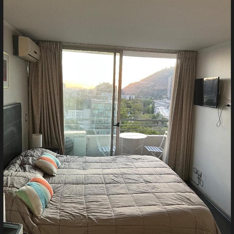 Departamento vista despejada al Cerro San Cristóbal - Apartamento de 1 dormitorio - 5