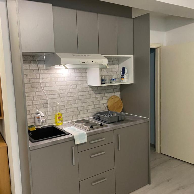 Pap Center Loft, garazno mesto - Apartman sa 1 Spavaćom Sobom - 9