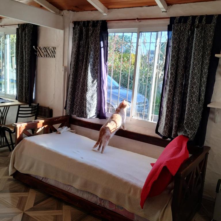 Mitorito entre el Mar y el Bosque - Casa con 1 dormitorio - 8