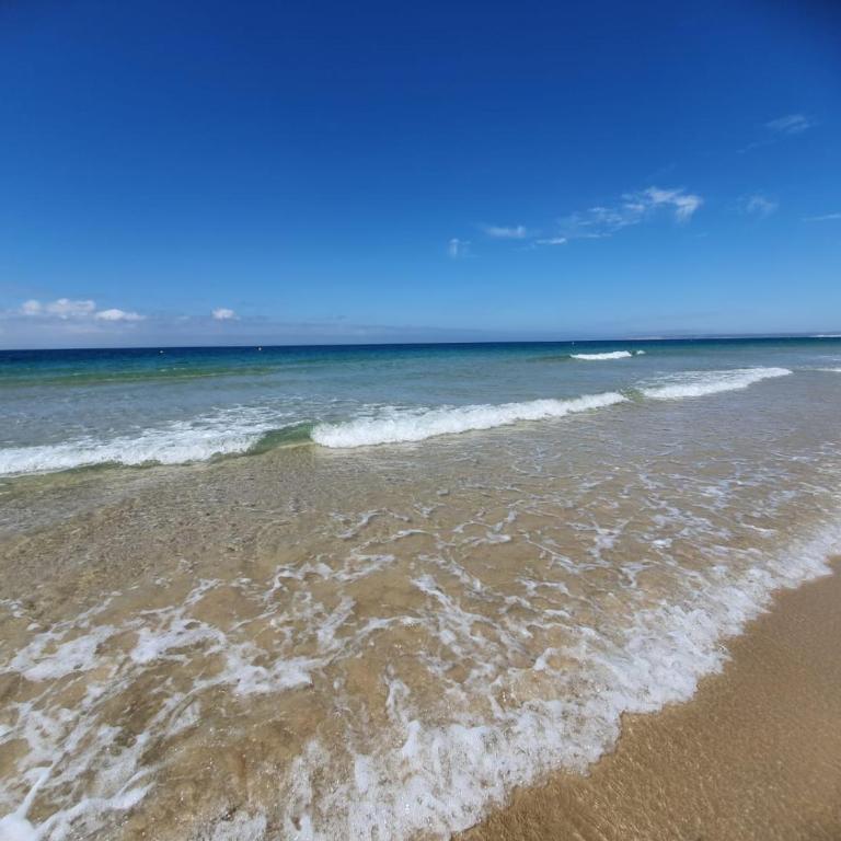 Ático Bahía de la Plata - Apartamento de 3 dormitorios - 6