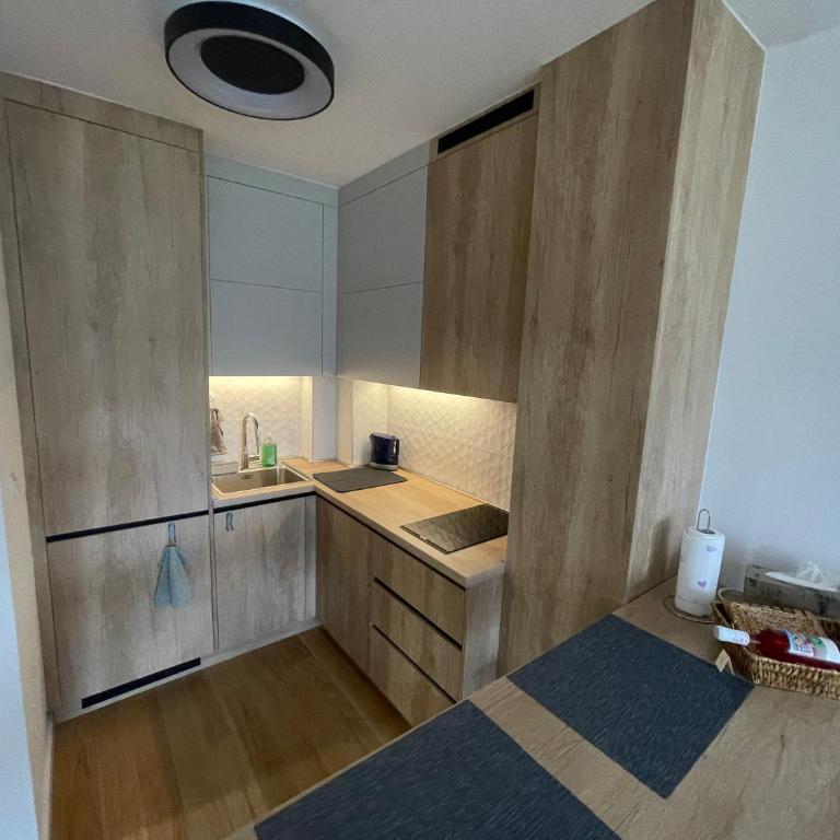 Apartment M - One-Bedroom Apartment - 4