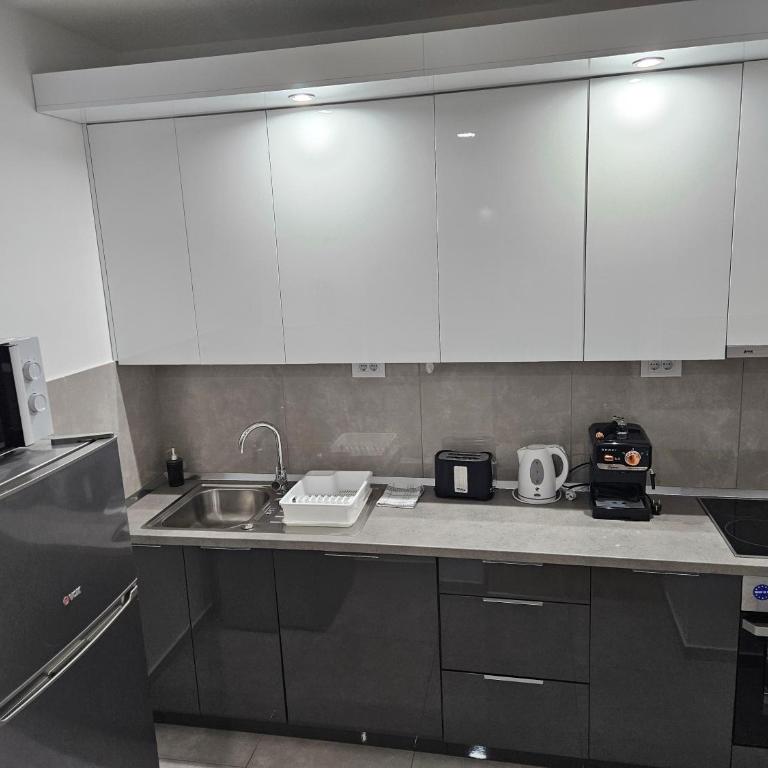 Apartman N&N, 53 kvm, blizu centra - One-Bedroom Apartment - 20