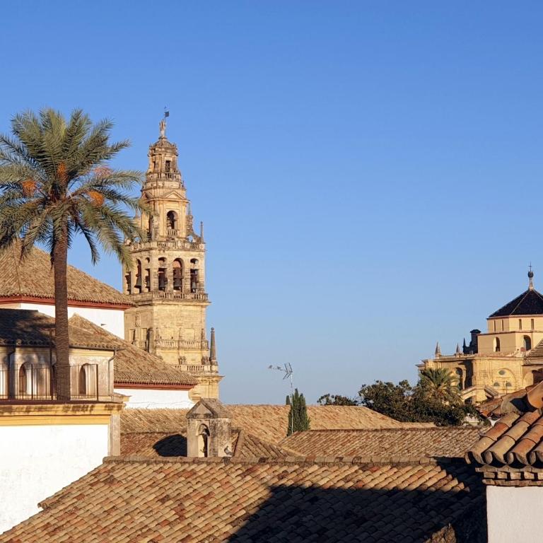 Entre patios y flores - Two-Bedroom Apartment - 2