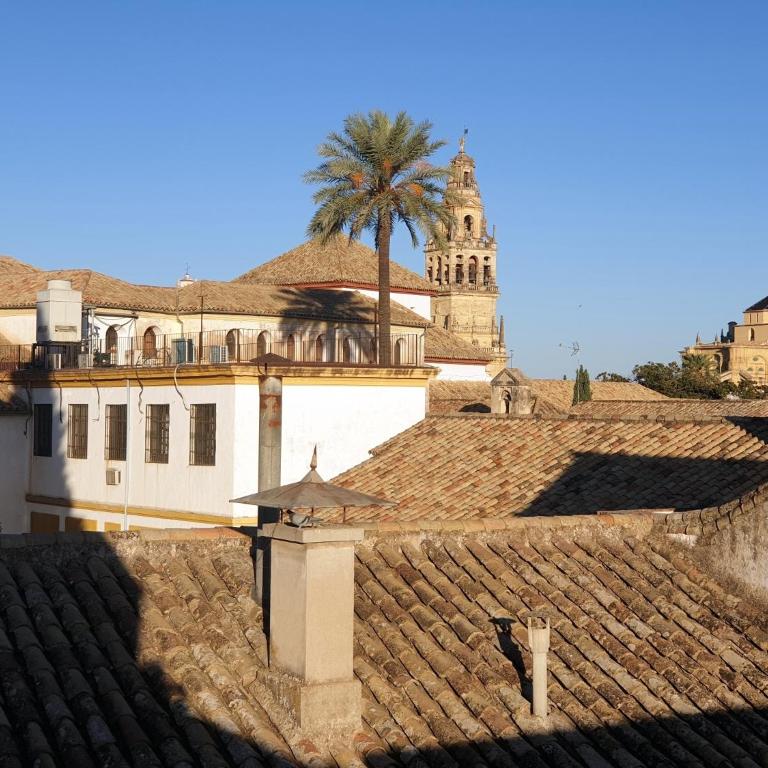 Entre patios y flores - Two-Bedroom Apartment - 17