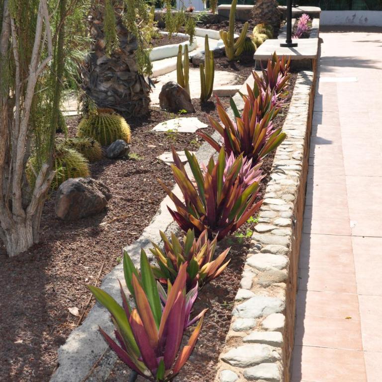 Serenity Garden - Apartamento de 2 dormitorios - 57