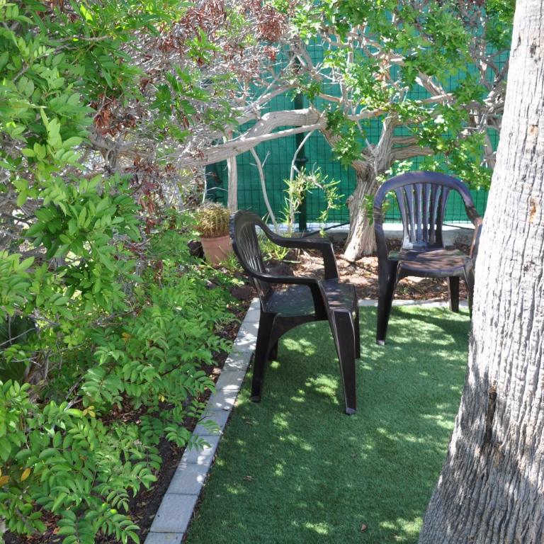 Serenity Garden - Apartamento de 2 dormitorios - 64