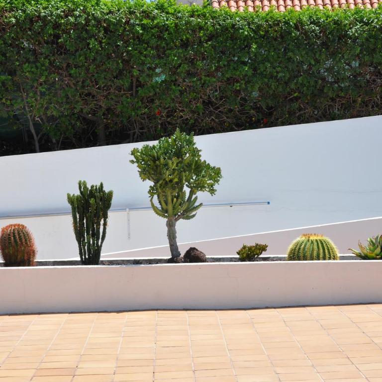 Serenity Garden - Apartamento de 2 dormitorios - 72