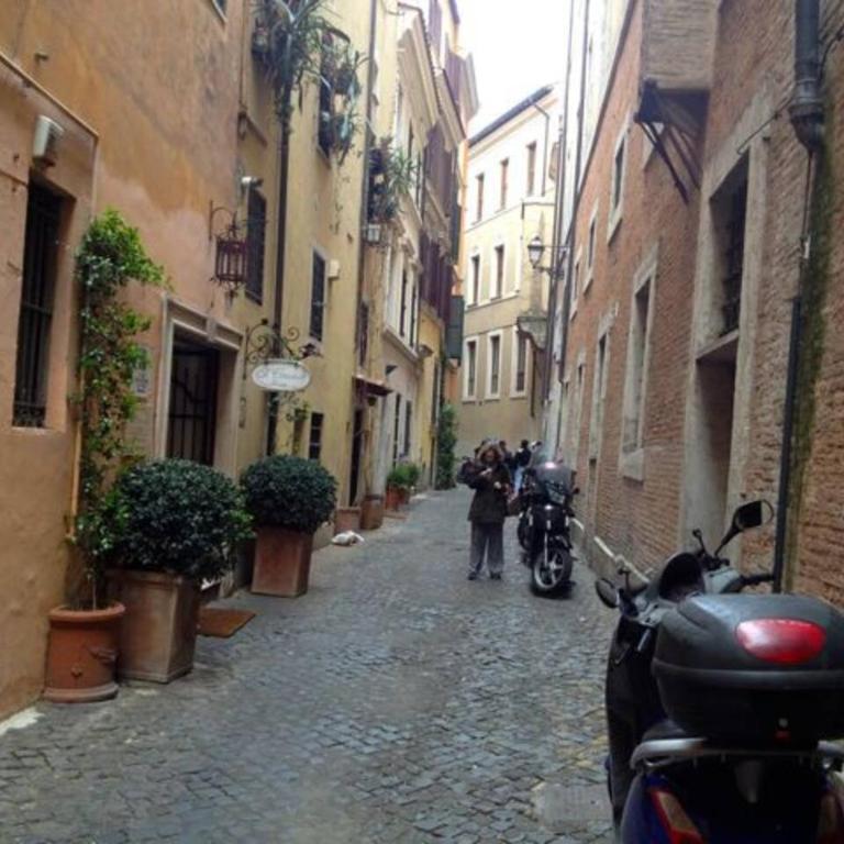 Casina Roma, 2 min to Piazza Navona - Appartamento con 1 Camera da Letto - 19