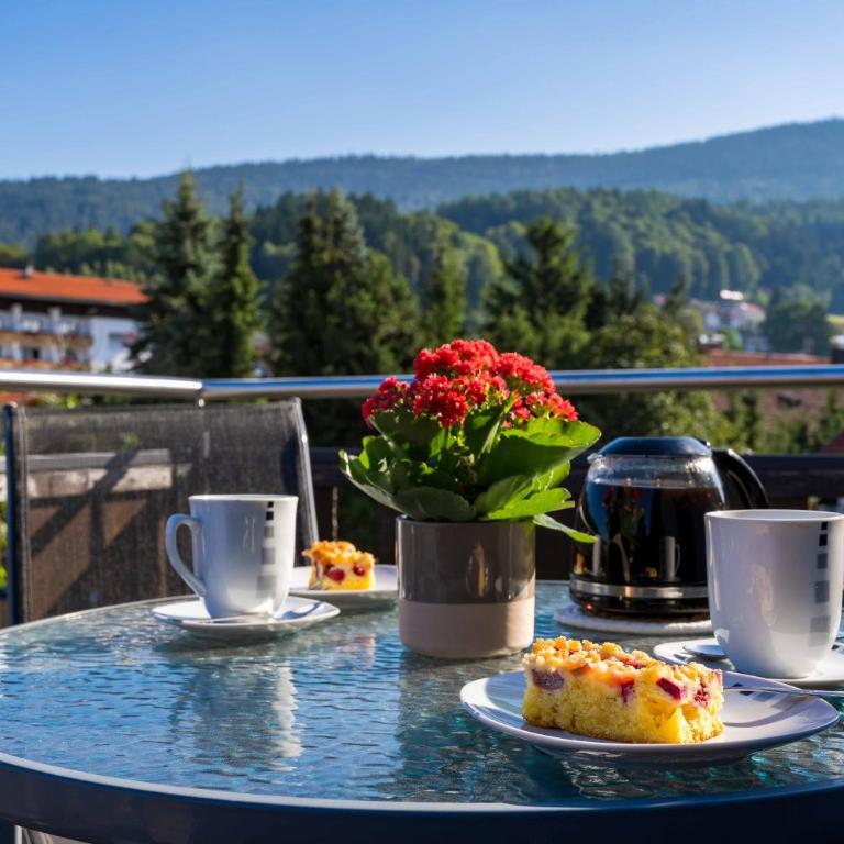 Pension Bayerwald mit Ferienwohnung - Appartement avec Balcon - 5
