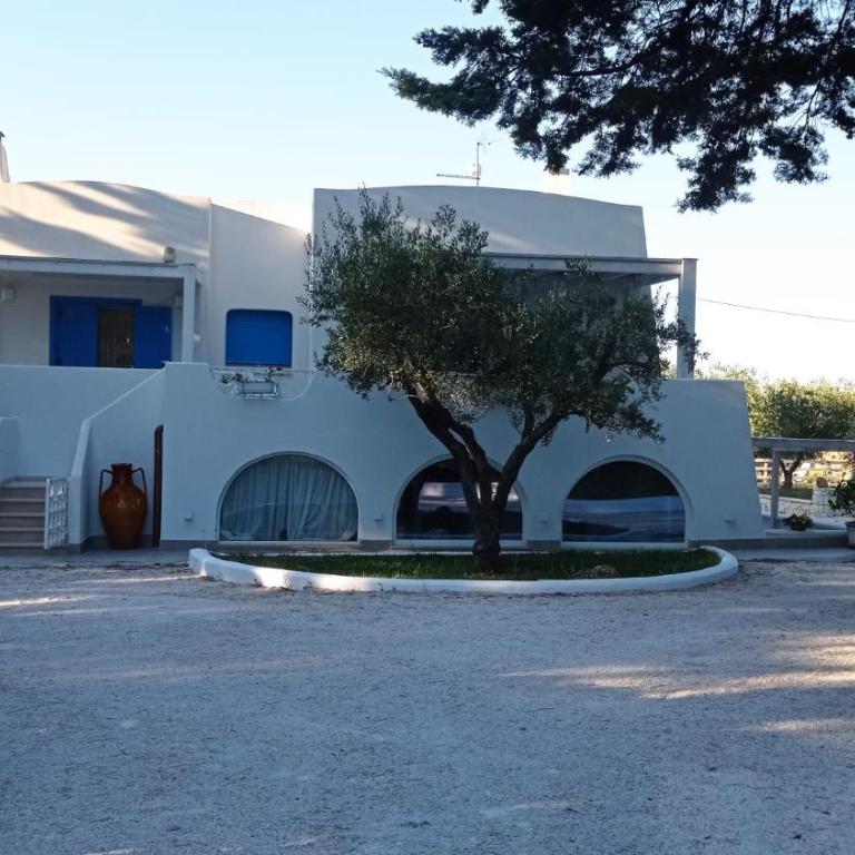 Casa Vacanze Villa Greca - Appartamento Standard - 50