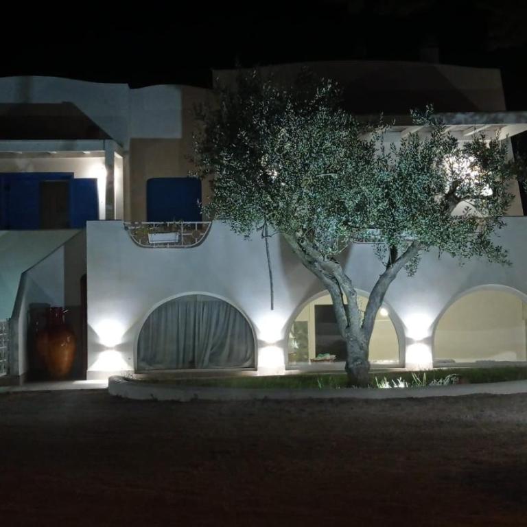Casa Vacanze Villa Greca - Appartamento Standard - 51