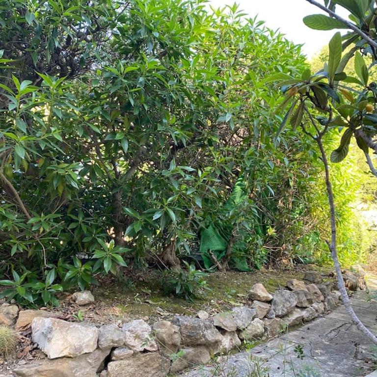 Bonita casa independiente cerca de la playa - Casa de 2 dormitorios - 28