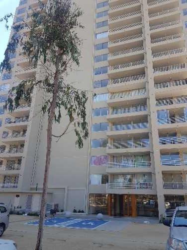 Costa Algarrobo Departamento Amoblado - Three-Bedroom Apartment - 7