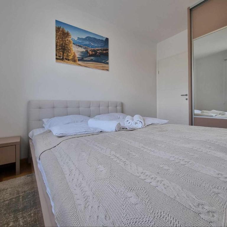 Apartman Tesla Pale - Two-Bedroom Apartment - 11