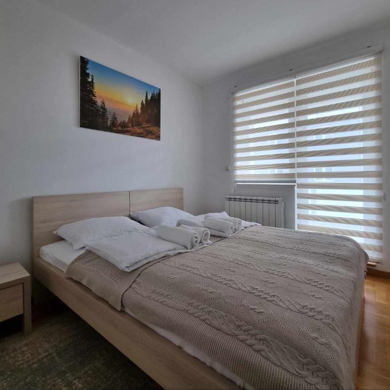 Apartman Tesla Pale - Two-Bedroom Apartment - 10