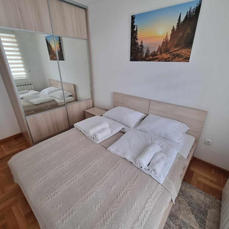 Apartman Tesla Pale - Two-Bedroom Apartment - 9