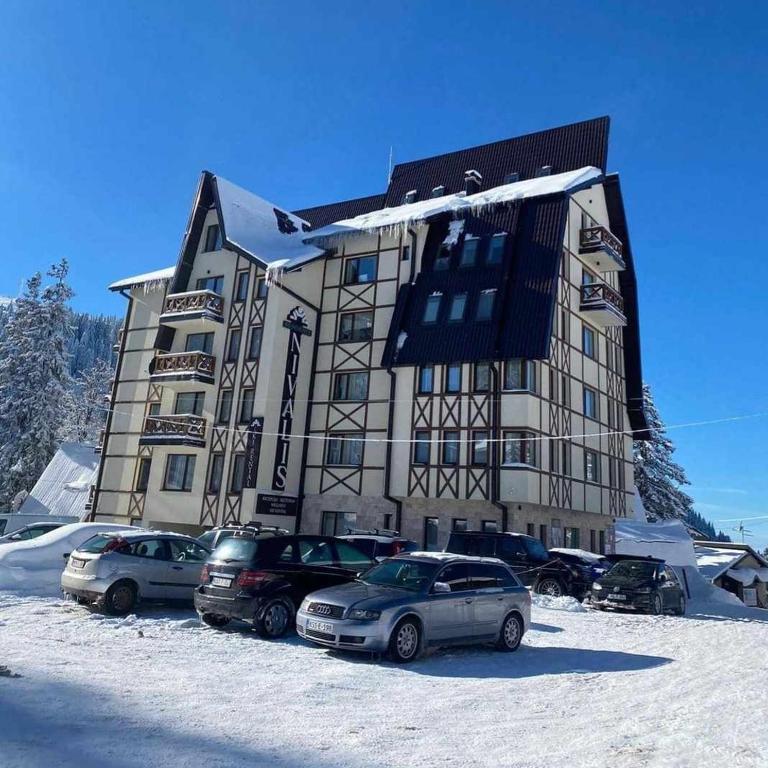 Nivalis Residence 6 - One-Bedroom Apartment - 4