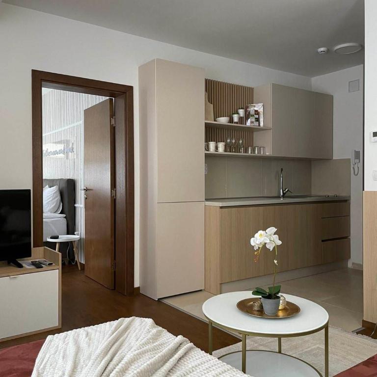Nivalis Residence 6 - One-Bedroom Apartment - 5