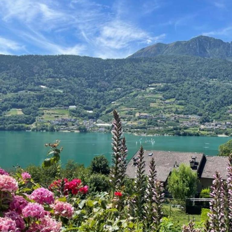 HAPPY DAYS Appartamento con stupenda vista lago - Apartamento de 1 dormitorio - 1