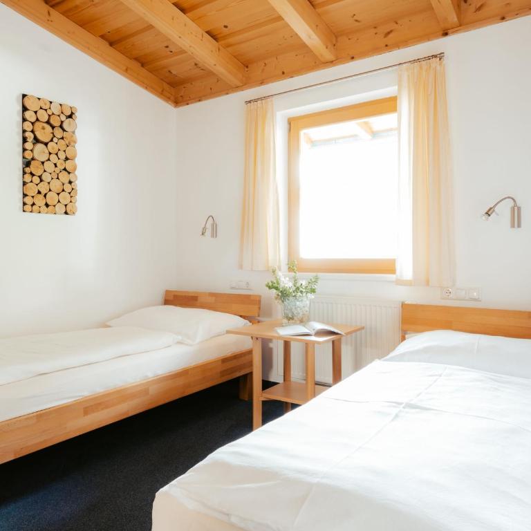 Ferienwohnungen Badbruckerweg- Bad Gastein - Appartement avec Vue sur la Montagne - 11