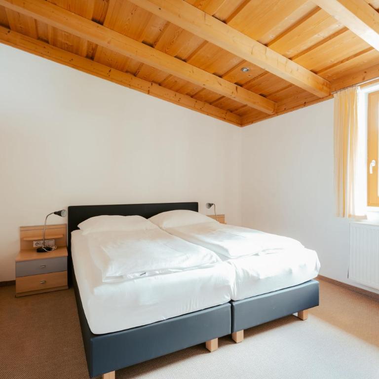 Ferienwohnungen Badbruckerweg- Bad Gastein - Appartement avec Vue sur la Montagne - 18