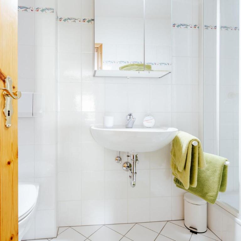 Ferienwohnungen Badbruckerweg- Bad Gastein - Appartement avec Vue sur la Montagne - 15