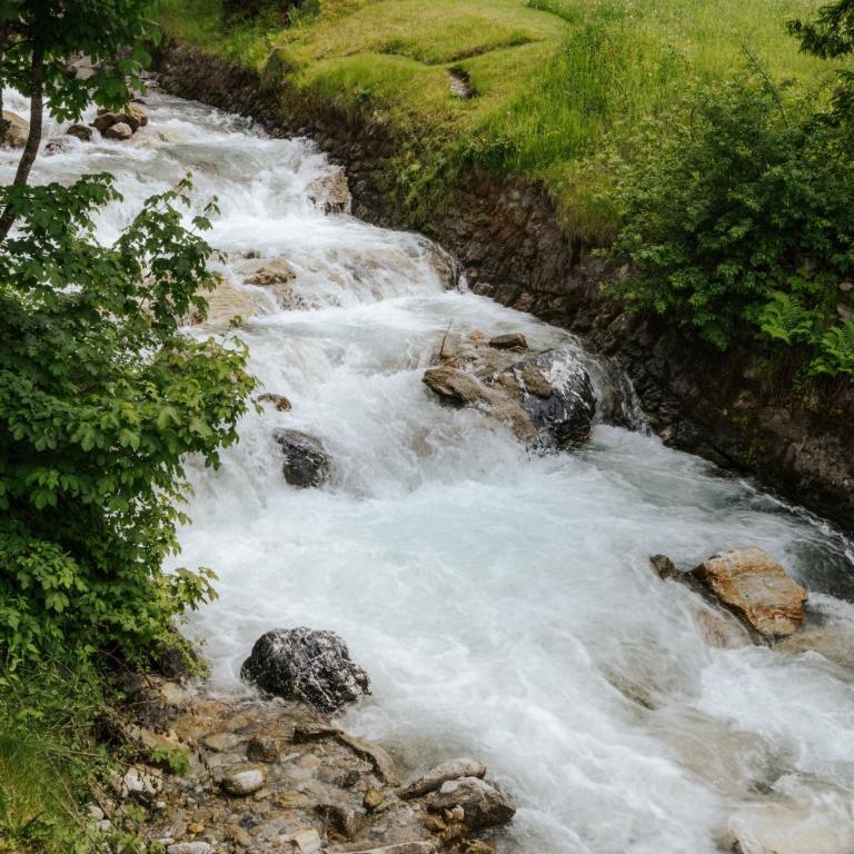 Ferienwohnungen Badbruckerweg- Bad Gastein - Appartement avec Vue sur la Montagne - 24