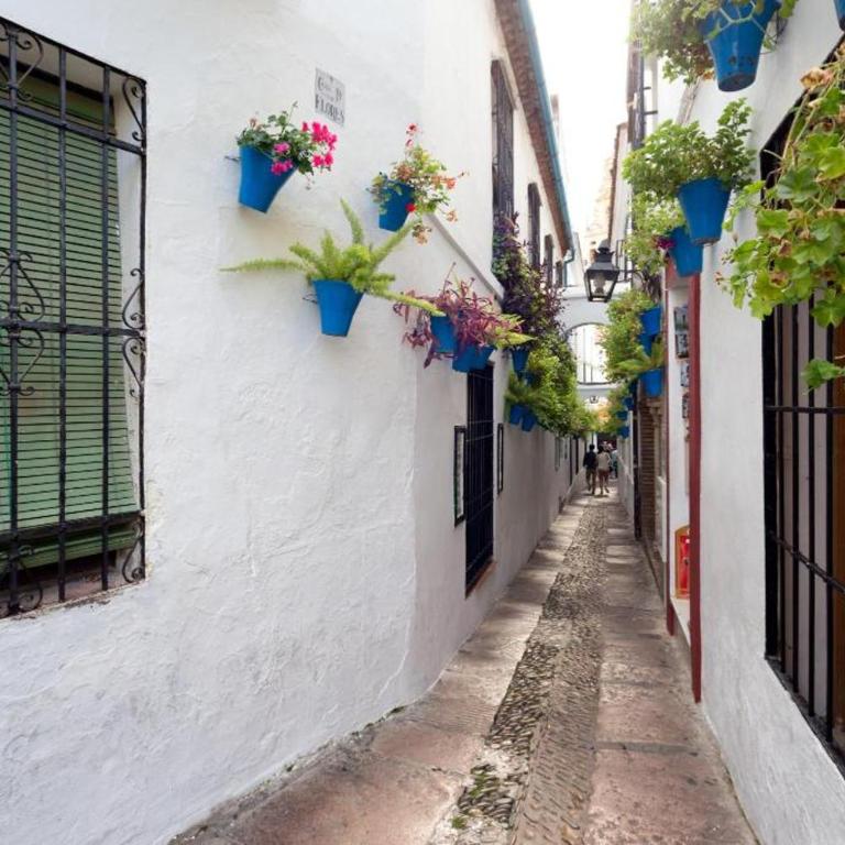 Apartamento Centro Azahar II - Apartamento de 2 dormitorios - 47