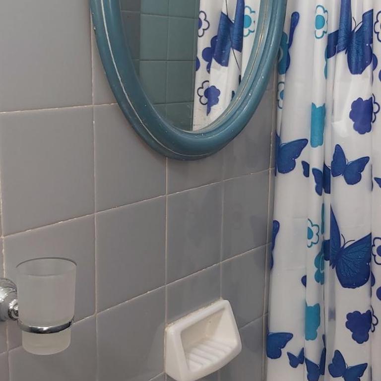 dpto centrico con oficina consultorio - Apartamento - 25