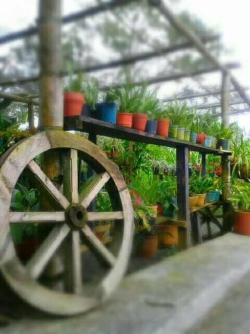 Finca cerca a Cali - Pura Naturaleza - El Carmen, Colombia - Casa de 5 dormitorios - 30