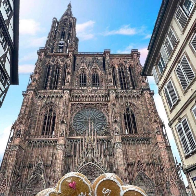 Appart & Studio Hyper Centre de Strasbourg - Proche Cathédrale & Petite France - Appartamento con 1 Camera da Letto - 77