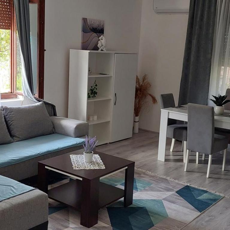 SAMI APARTMAN - Apartman sa 1 Spavaćom Sobom - 6