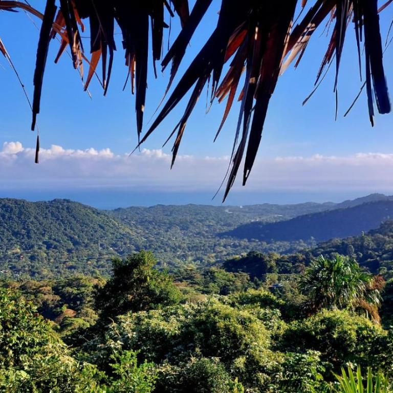 Taorayiná nature lodge- immersed in the forest - Bungalow Deluxe con vistas al mar - 12