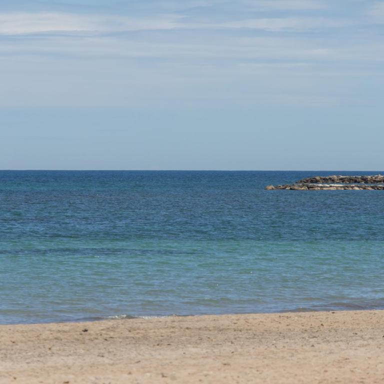 Apartamento Denia Marina Real III T - Apartamento - 32