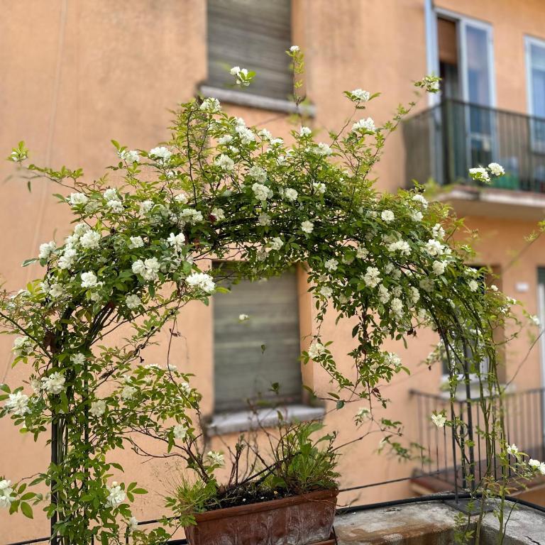 IL NIDO DI EMMA A VERONA - Two-Bedroom Apartment - 8