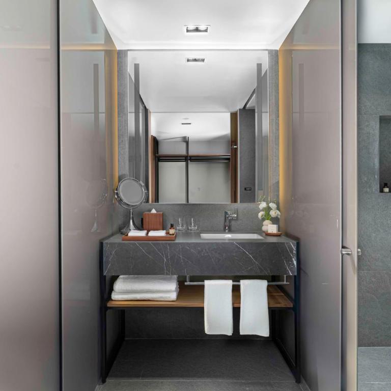 Hyatt Regency Mexico City Insurgentes WTC - Queen Room with Two Queen Beds and City View - 4