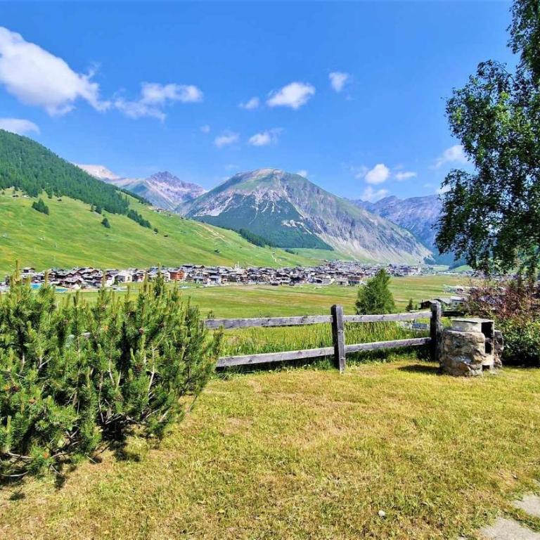 Chalet Rododendro Forést by Livigno Accomodation - Appartamento - Piano Terra - 43