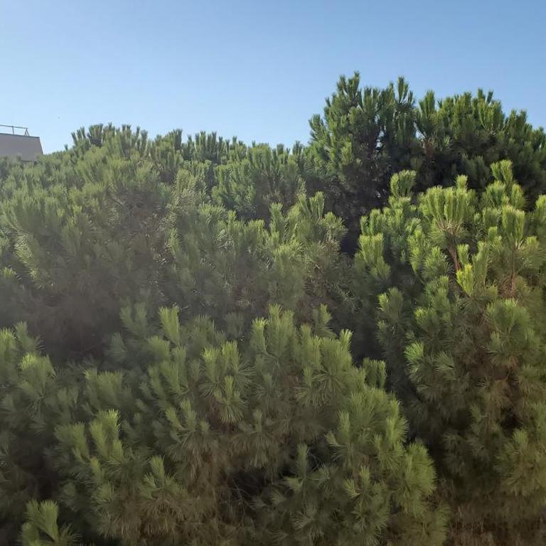 Frejus Plage LA MIOUGRANO, T2-3 49m2, 5 personn - Apartment mit Balkon - 16